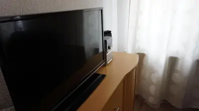 TV/Unterhaltungsangebot in der Unterkunft Apartment Dresden Neustadt