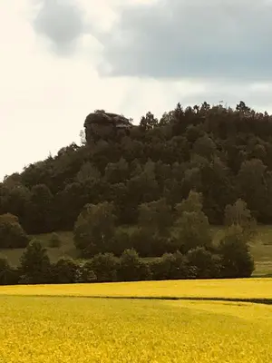 Naturlandschaft in der Nähe der Ferienwohnung