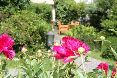 Ein Garten an der Unterkunft Ferienhaus 