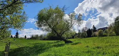 Naturlandschaft in der Nähe der Ferienwohnung