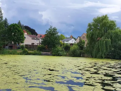 Naturlandschaft in der Nähe der Ferienwohnung