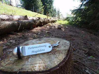 Naturlandschaft in der Nähe der Ferienwohnung