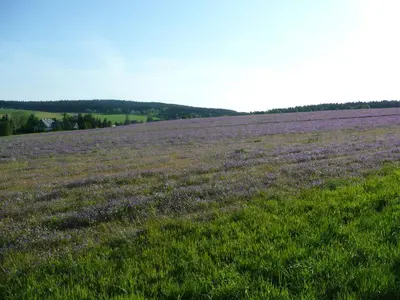 Naturlandschaft in der Nähe des Bed & Breakfasts