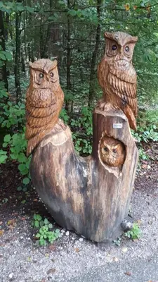 Grundriss der Unterkunft Ferienwohnung am Wald