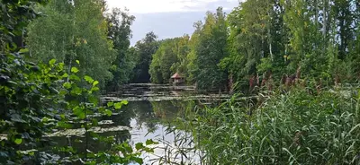 Naturlandschaft in der Nähe der Ferienwohnung