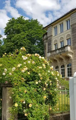 Ein Garten an der Unterkunft Hotel-Villa Lalee