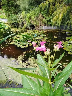 Naturlandschaft in der Nähe der Ferienwohnung