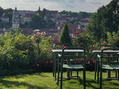Ein Garten an der Unterkunft Rebenhaus Meißen