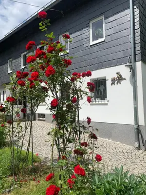 Ein Garten an der Unterkunft Ferienwohnung Eulennest