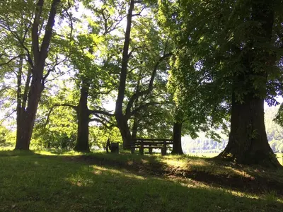 Naturlandschaft in der Nähe des Aparthotels