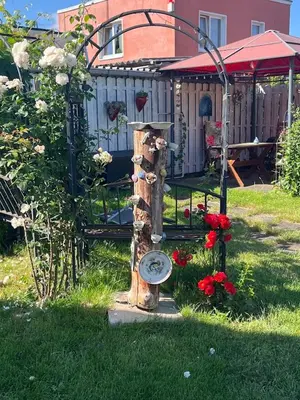 Ein Garten an der Unterkunft Ferienwohnung Heyne