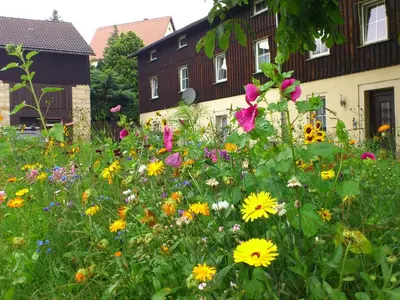Ein Garten an der Unterkunft charmante Ferienwohnung in Struppen