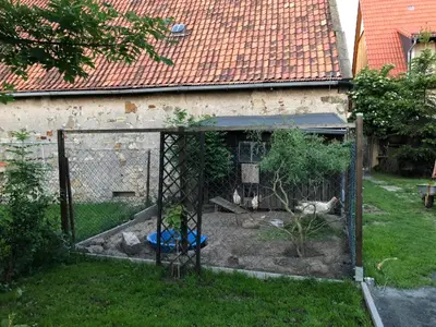 Ein Garten an der Unterkunft Ferienwohnung Gans Auguste