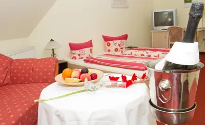 TV/Unterhaltungsangebot in der Unterkunft Hotel Zwei Linden
