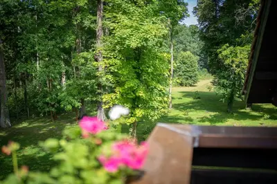 Ein Garten an der Unterkunft Hotel Zur Waldhufe