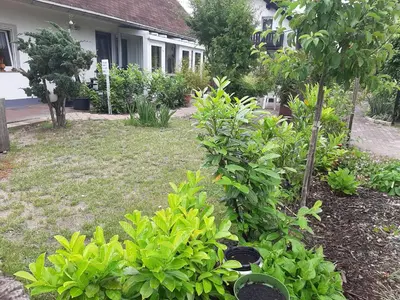 Ein Garten an der Unterkunft Landlust!