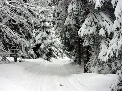 Ferienwohnung Erzhütte im Winter