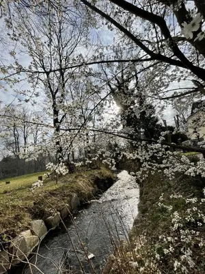 Naturlandschaft in der Nähe des Bed & Breakfasts