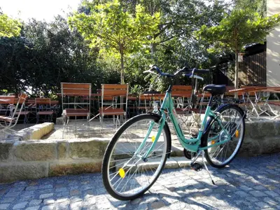 Radfahren an der Unterkunft Hotel Alttolkewitzer Hof oder in der Nähe
