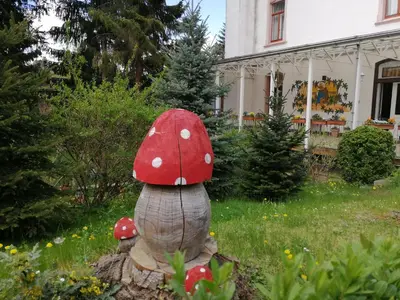 Ein Garten an der Unterkunft Cafe Zur Talsperre