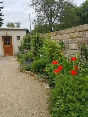 Ein Garten an der Unterkunft Ferienhaus Zur Ausspanne