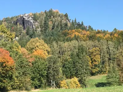 Naturlandschaft in der Nähe der Ferienwohnung