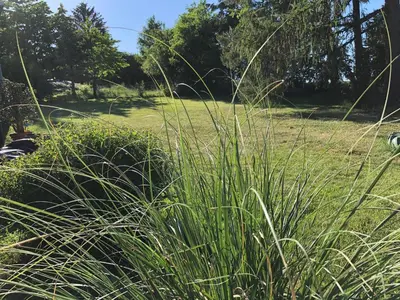 Ein Garten an der Unterkunft Apartment am Hutberg