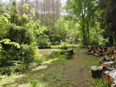Naturlandschaft in der Nähe des Hotels