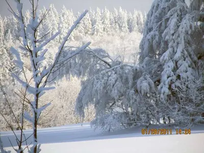 Ferienhaus Ferien am Waldrand im Winter