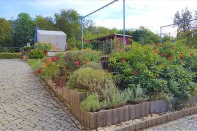 Ein Garten an der Unterkunft Fewo Radeberg