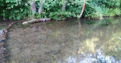Naturlandschaft in der Nähe der Ferienwohnung