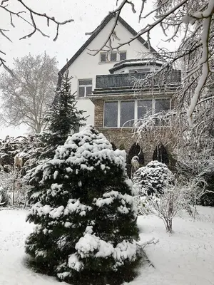 Ferienwohnungen Burkhardt im Winter