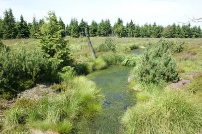 Naturlandschaft in der Nähe des Ferienhauses