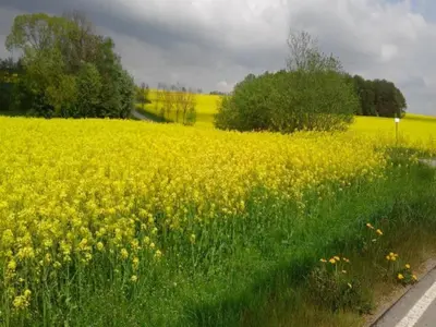 Naturlandschaft in der Nähe des Ferienhauses
