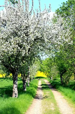 Naturlandschaft in der Nähe des Hotels