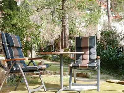 Ein Garten an der Unterkunft Ferienwohnung Dresden-Pillnitz - Elbhang-Villa - 