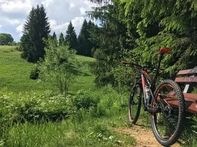 Radfahren an der Unterkunft Ferienhaus Bikehütte Rehnhäusl oder in der Nähe