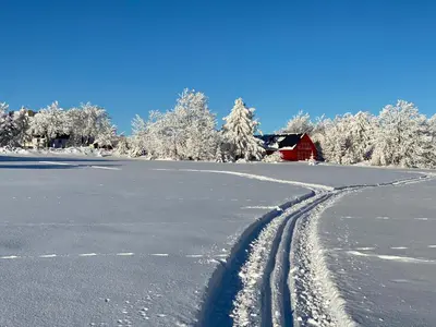 Appartementhaus Zur Bergwiese im Winter