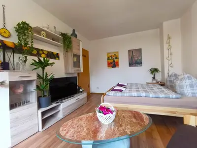 TV/Unterhaltungsangebot in der Unterkunft Ferienwohnung Kaltschmidt