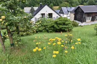 Ein Garten an der Unterkunft Biohof Seifert