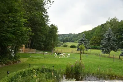 Naturlandschaft in der Nähe der Ferienwohnung