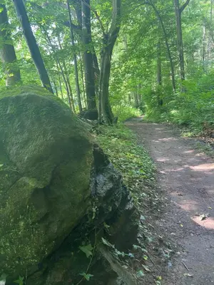Naturlandschaft in der Nähe der Pension