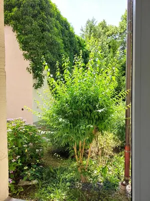 Ein Garten an der Unterkunft Exklusive Wohnung mit Kingsize-Bett I 75qm I am See I Waschmaschine I Streaming I gratis Kaffee & Teeangebot