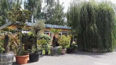 Ein Garten an der Unterkunft Ferienwohnung 3 - a63699