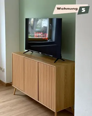 TV/Unterhaltungsangebot in der Unterkunft Ferienwohnung Zum Böhmischen Bürgergarten