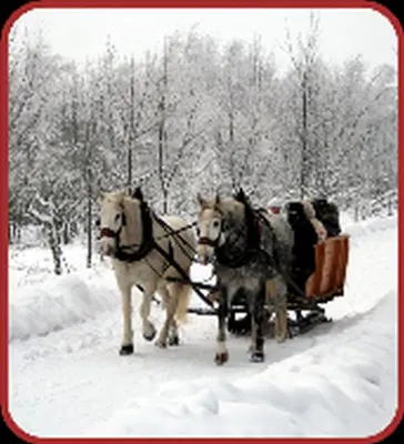 Zur Edlen Krone im Winter