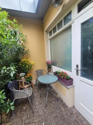 Ein Garten an der Unterkunft Fewo 4