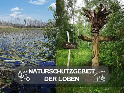 Naturlandschaft in der Nähe des Ferienhauses