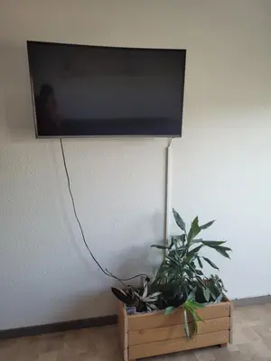 TV/Unterhaltungsangebot in der Unterkunft Mickten Hertz