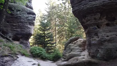 Naturlandschaft in der Nähe der Ferienwohnung